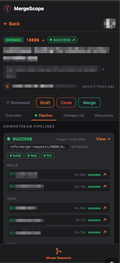 MergeScope pipeline detail